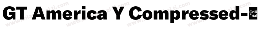 GT America Y Compressed字体转换